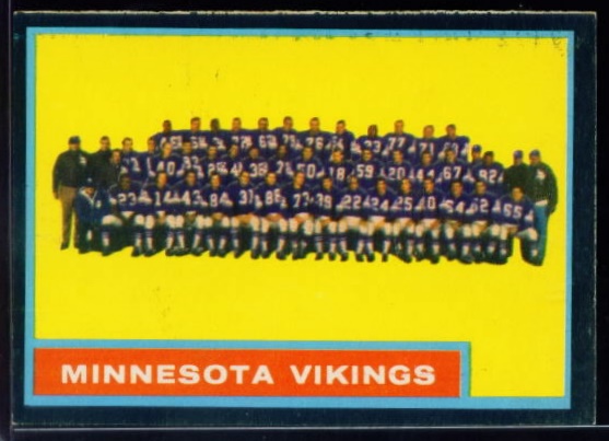 101 Vikings Team